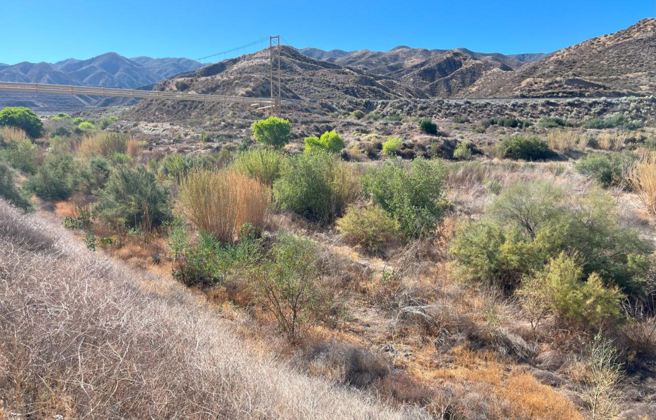 Photo of Soquel Canyon