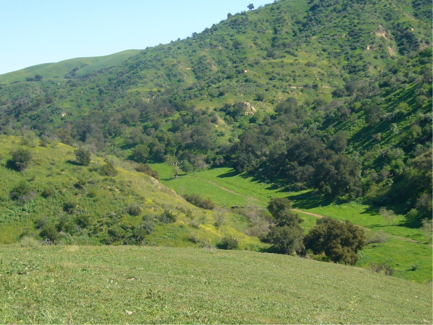 Photo of Soquel Canyon